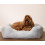 Rosewood Fur Box Dog Bed, Blue, Small 3
