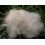 Merino Wool Fiber (8oz) 6