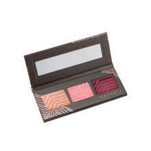Vasanti Synchronicity Eyeshadow Trio Kit (Serendipity) - Super Soft Long Lasting Metallic Shimmer Glitter Eyeshadow Palette Kit - With Brush and