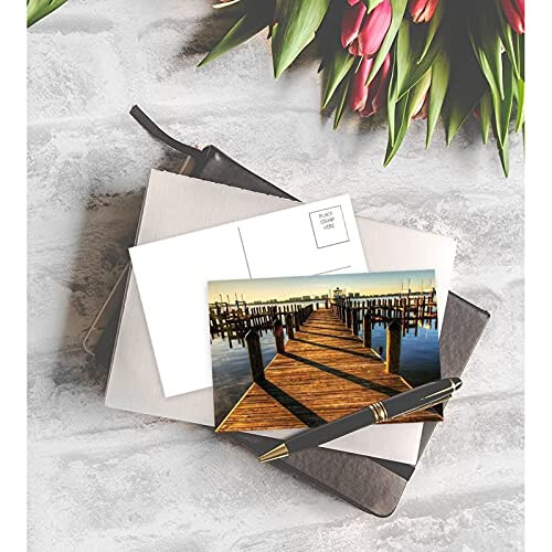 Best Paper Greetings 40 Pack Ζωολογικών και Ταξιδιωτικών Ταχυδρομικών Καρτών (4 x 6 In) 1