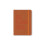 Letts Big Plans A6 2024 day to page with appointments diary - rust 1