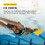 FINIS Foil Monofin (XS) 2