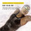 FINIS Foil Monofin (XS) 5