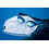 Arena Unisex Pro II Moulded Swim Cap 2