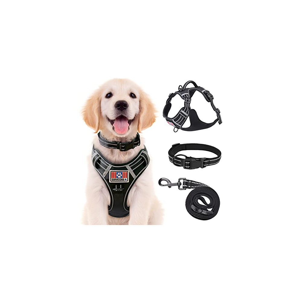 Puppy Harness, Rywell No Pull Dog Harness and Lead Set for Small Dog/Cat [with Collar] Adjustable Breathable Soft Vest Harness with Reflective, 2