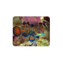 Mandarin Dragonet Tropical Fish Mouse Mat Pad - Aquarium Computer #16200