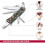 Victorinox Trailmaster Swiss Army Pocket Knife, Large, Multi Tool, 12 Functions, Large Locking Blade, Camouflage 5