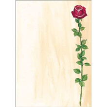 DP695 Writing paper "Rose Bloom", A4, 90 gsm, 25 sheets