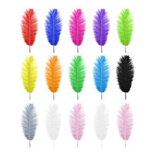 15pcs Natural Ostrich Feathers Mixed Colorful Feathers 25-30cm for DIY Craft Art Design Non-Toxic Odourless Dream Catchers Wedding Party Home