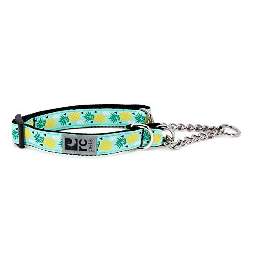 Training Martingale Dog Collar, Large, Pineapple Parade