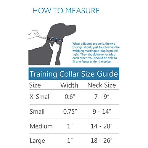 Training Martingale Dog Collar, Large, Pineapple Parade 1