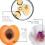 Framesi Morphosis Sublìmis Oil Pure 100 ml 4
