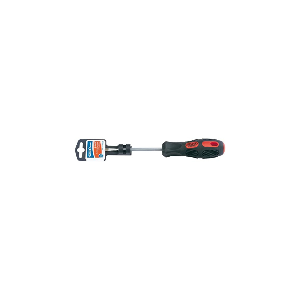40028 Expert Plain Slot Parallel Tip Screwdriver, 5Mm X 100Mm Blue 772040181000