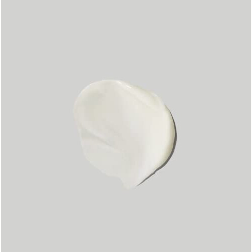 Paul Mitchell Clean Beauty Scalp Therapy Conditioner 250ml 2