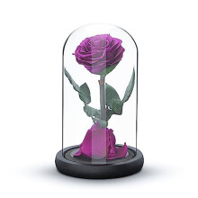 Eternal Forever Rose | Fresh Rose Gift | Single Rose Preserved for 5 Years | Handcrafted | Gifts for Women Birthday unique Unusual | Mother's Day,