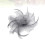 Mini Fascinator Hair Clips with Feather Flower Feather Barrettes Hair Snap Hair Pins for Women 5