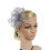 Mini Fascinator Hair Clips with Feather Flower Feather Barrettes Hair Snap Hair Pins for Women 8
