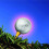 Flashing Glowing Golf Ball 2pk 2