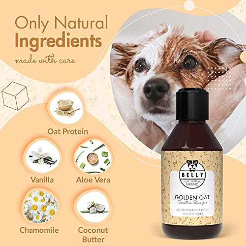 Belly Shampoos (Oatmeal) 2