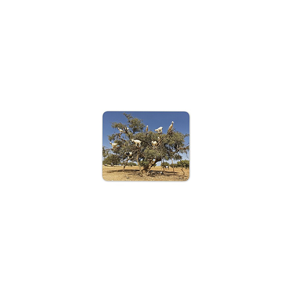 Funny Tree Goats Mouse Mat Pad - Goat Morocco Animal Africa Computer #8667 7625908029972