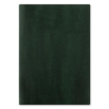 Letts Lecassa 2024 A4 week to view diary - British Racing Green