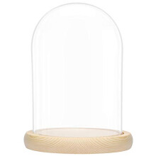 Large Glass Dome Cloche Bell Jar with Natural Wooden Base - 20cm/7.87 Inches - Clear Decorative Tabletop Display Case with Tray for Fairy Lights,