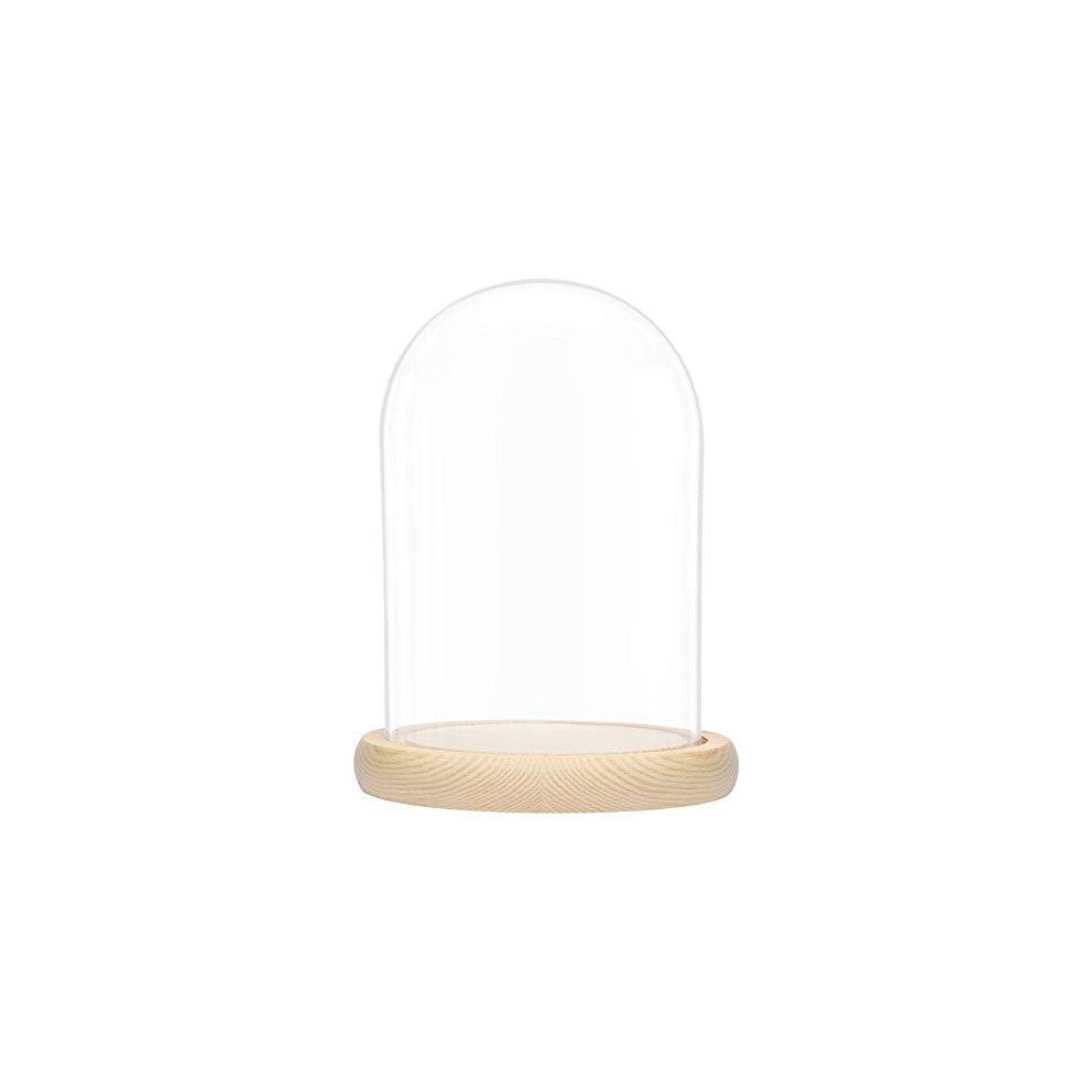 Large Glass Dome Cloche Bell Jar with Natural Wooden Base - 20cm/7.87 Inches - Clear Decorative Tabletop Display Case with Tray for Fairy Lights,