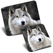 Mouse Mat & Coaster Set - White Female Wolf Dog Animal 23.5 x 19.6 cm & 9 x 9 cm for Computer & Laptop, Office, Gift, Non-slip Base #16947