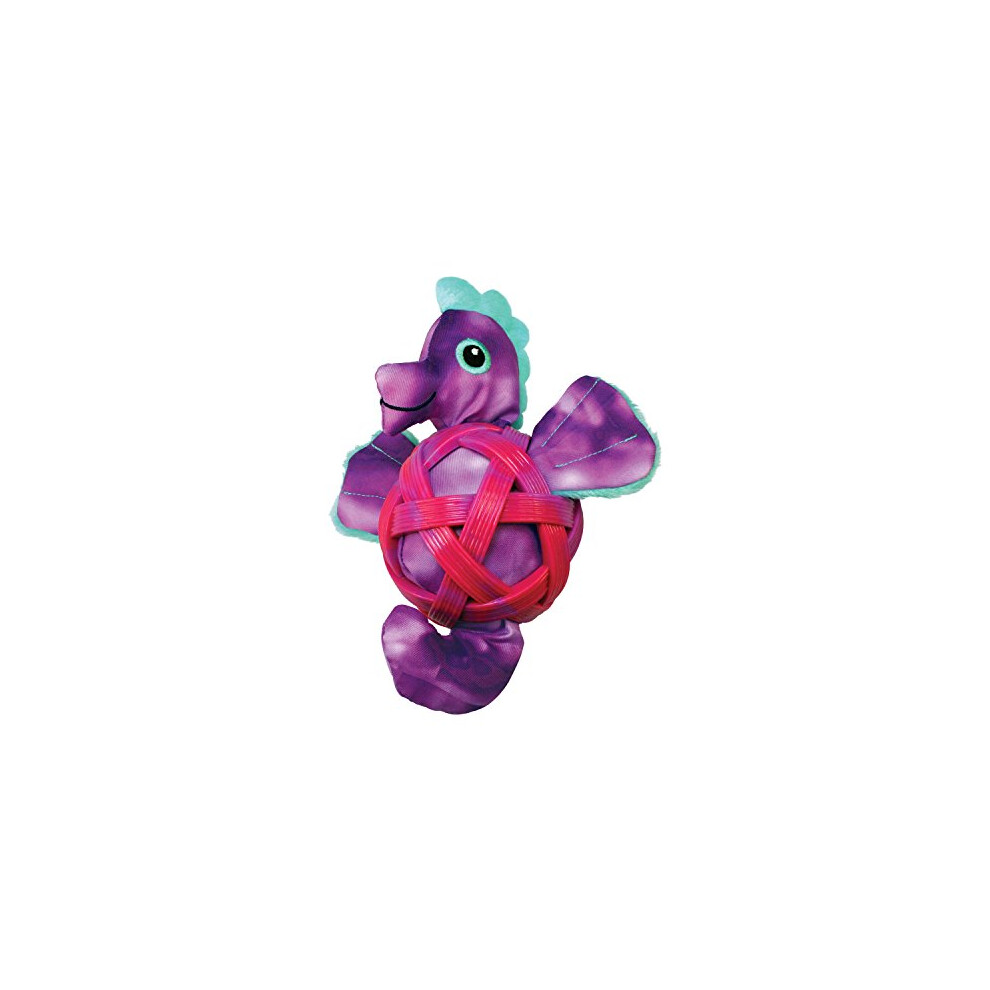 Kong Sea Shells Seahorse, Small/Medium