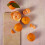 The Body Shop Satsuma douchegel, 25,3 fl oz 3