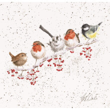 Garden Birds Print on White Square Canvas 20 Centimetre One Snowy Day