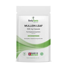 Mullein Leaf 500mg Capsules - with high Anti-oxidant and Anti-inflammatory Properties -– Healthy Skin (120 Caps)