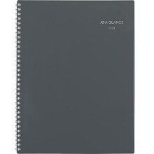 DayMinder 2023 Monthly Planner 21.6 x 27.9 cm, Large, Grey (GC47007)