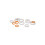 Claber Or Washer Set 4