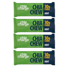 High Energy Chews for Running, Cycling, Hiking, Fitness, and Sports, Gel and Drink Alternative with Pink Himalayan Salt and Milled Chia Seeds, 30g