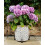 Planter Pot Feet, Resin, Frost, One Size 3