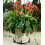 Planter Pot Feet, Resin, Frost, One Size 1
