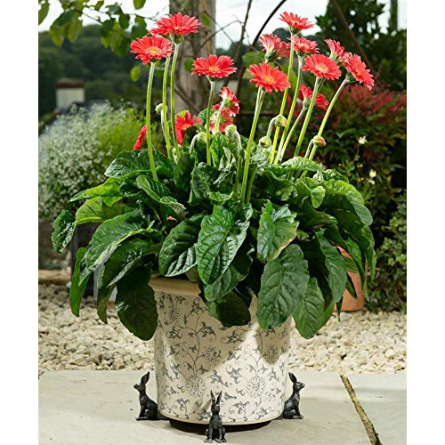 Planter Pot Feet, Resin, Frost, One Size