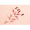 Wet n Wild Wet N Wild Wnw Lip Mousse Cloud Pout 1111920e 11