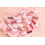 Wet n Wild Wet N Wild Wnw Lip Mousse Cloud Pout 1111920e 17
