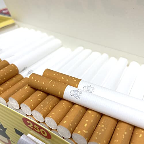 Cigarette Filter Tubes by Zig-Zag - 500 2