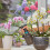 Gardena Gardena Tryksprøjte 1L 11112 5