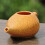 Ancient Impex Ceramic Neti Pot (270 Ml Capacity) with 5 Sachets of Neti Salt + Instructions Leaflet | Natural Treatment for Sinus, Infection and 3