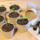 Set of 80 Flower Pots, Biodegradable, Planter, Cellulose, Round, 8 cm, Beige, 100% paper, Pack of 80 2