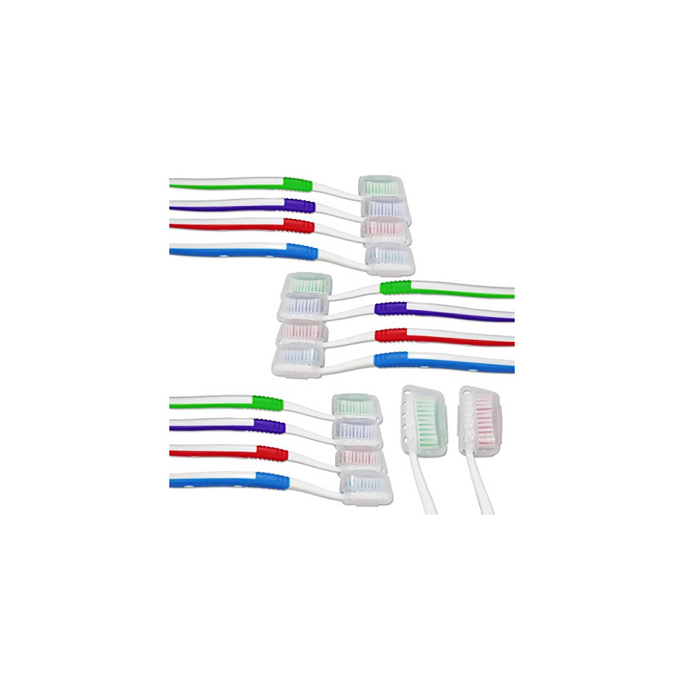 Dental Aesthetics Adult Toothbrushes With Covers ~ Bulk Pack Of 20 Manual Toothbrushes ~ Individually Packaged Medium Firm Bristles
