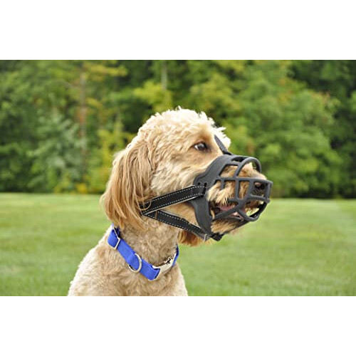 Rosewood Silicone Muzzle (Size 2) 2