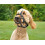Rosewood Silicone Muzzle (Size 2) 4