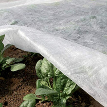 Ortoclima Plus 2.4 x 10 m White, Winter Anti-Frost Protective Veil for Plants, Non-Woven Fabric 30 g/m, Protects Flowers and Vegetables from Cold,