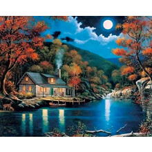 DIY Paint by Numbers Painting Canvas for Kids or Adults Beginner with Brushes and Acrylic Paints Frameless(40x50cm)