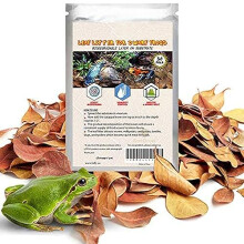 50 pcs Dwarf Frog Leaves, Tropical Fish, Water Treatment Terminalia Leaf, 2 Inches, Mini Indian Almond Catappa Leaves for Microfauna, Aids in